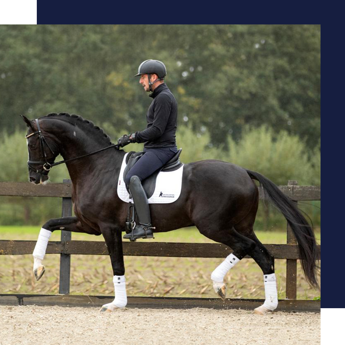 optie Intiem Deens Van den Heuvel Dressage – Training en verkoop van dressuurpaarden